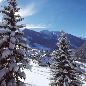 Appartement Centre Avec Coin Montagne, Châtel